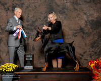 Doberman Pinscher #8 Sat BOS Brotherhood Alisa and Marilyn Swick Judge Joseph Gregory