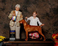 Vizsla #6 Sat BOB Mcintire Thomas and David Judge Gloria Kerr