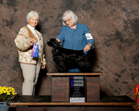 Cocker Spaniel #8 Sat WB Napper Mary and Carol H Napper Judge Gloria Kerr