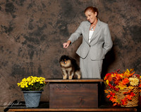 Pomeranian #5 Sat Custom Bertrad Gail Agent Jodie Keener