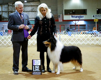 Collie Rough #53 Fri S2 New Champion Major Win Winners Dog Kathy Drabik Judge T Coen