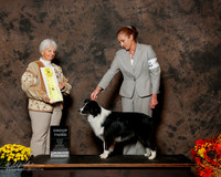 Border Collie #14 Sat G3 Keener Jodie Judge Gloria Kerr