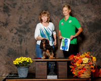 Cavalier King Charles Spaniel #R24 Sat 1st Rally Nov Smith Colleen Judge Jon Mett