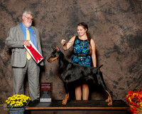 Doberman Pinscher #7 Sat G2 Claggett Ashlee and Susan and Charles Judge Steven D Gladstone