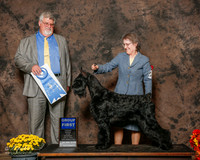 Giant Schnauzer #6 Sat G1 Heschke Kathy and Judi Boston and Greg Reyna Judge Steven D Gladstone