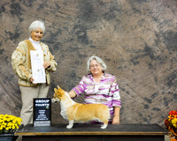 Pembroke Welsh Corgi #6 Sat G4 Gentry Carol and Janet Richardson and Grace Griffith Judge Gloria Kerr