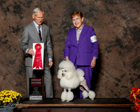 Poodle Miniature #8 G2 Sat Neal Joann Judge Joseph E Gregory