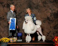 Poodle Standard #12 Sat Linda Hughes and Wendy Penn Agent Elizabeth Brown Judge Joseph E Gregory