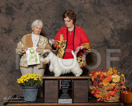 _R2_9854-2SanAngeloOct2015-HR3