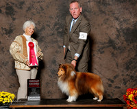 Shetland Sheepdog #5 Sat G2 Ennis Sandi and Jamie Ennis Judge Gloria Kerr