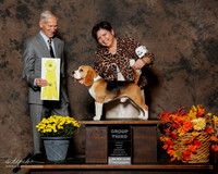 Beagle 15in #5 Sat G3 Ayala Brooke N Rudy and Ann and David Wolf Judge Joseph E Gregory