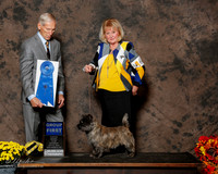 Cairn Terrier #6 Sat G1 Burnett Karen and Patricia Gould Judge Joseph E Gregory