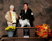 Papillon #8 Sat G3 Cantwell Jacquelyn C and Vernon W Cantwell Judge Gloria Kerr
