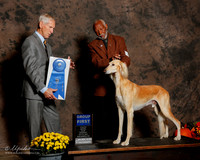 Saluki #5 Sat G1 Mueller Julie L and Eugene Blake Judge Joseph E Gregory