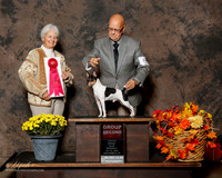 Toy Fox Terrier #5 Sat G2 Bellamy E Eugene Judge Gloria Kerr