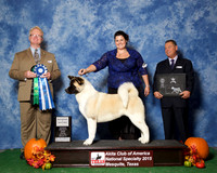 #100 Sat BOW AOM JUDGE William P Shelton