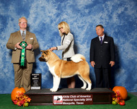 #112 Sat AOM JUDGE William P Shelton