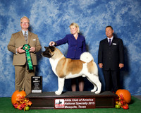 #121 Sat AOM JUDGE William P Shelton