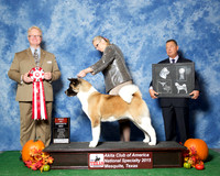 #156 Sat BOS JUDGE William P Shelton