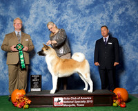 #162 Sat AOM JUDGE William P Shelton