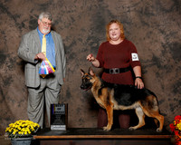 German Shepherd Dog #6 Sat BOB Kviatkovskaya Julia Judge Steven D Gladstone