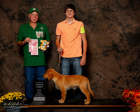 Golden Retriever #??? Sat BMatch G1