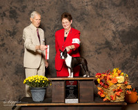 Boston Terrier #10 Sat BOS Galiga Marcia E Judge Joseph E Gregory