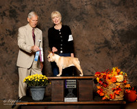 French Bulldog #6 Sat RWB Linda Praznik L Judge Joseph E Gregory