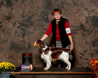 English Springer Spaniel #8 Sat BOS Flores Roxanne M