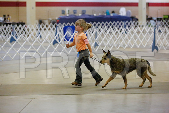 _JN_8916-AmarilloSept2014-HR3