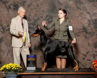 Doberman Pinscher #7 Sat Claggett Ashlee and Susan and charles Judge Joseph E Gregory