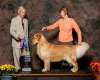 Golden Retriever #9 Sun WD Bizego Melody Agent Diane Mueller Judge Joseph E Gregory