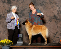 Belgain Tervuren #14 Sun BOB NC Woodward Travis and Corlyn Burkett Judge Gloria Kerr