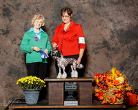 Chinese Crested #10 Sun BOW NC Lopez Terry Judge Carmen Blankenship
