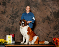 Saint Bernard #R22 Sun Rally Adv Henderson Nancy D