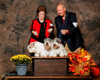 Sealyham Terrier #5 7 and 6 Sun Custom
