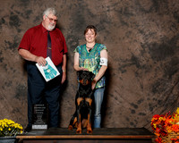Rottweiler #6 Sun OH G3 Dorrheim Kristina Judge Steven Gladstone