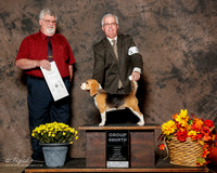 Beagle 13in #6 Sun G4 Wolf David and Ann Judge Steven Gladstone