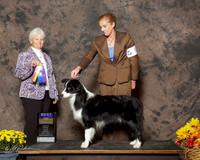 Border Collie #5 Sun BOB Keener Jodie and Patti Sears Agent Jodie Keener Judge Gloria Kerr