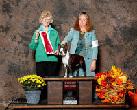 Boston Terrier #9 Sun Kinnaird Stacie Dawn Mancine Sharon Kang Judge Annemarie Moore