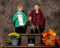 French Bulldog #5 Sun G4 Jacky Mills Agent Paige McCarver Judge Annemarie Moore