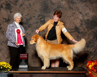 Golden Retriever #15 Sun G2 Abernathy Mike and Carol Judge Gloria Kerr