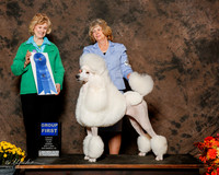 Poodle Standard #12 Sun G1 Hughes Linda and Wendy Pen Agent Elizabeth Brown Judge  Annemarie Moore
