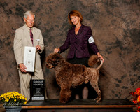 Portugese Water dog #5 Sun G4 Woodburn Lana Judge Joseph E Gregory