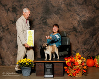 Pug #7 Sun G3 Ratliff Kristy and Kevin Judge Joseph Gregory