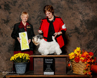 Sealyham Terrier #6 Sun G3 Dunlap Barabara and Roayl Judge Annemarie Moore