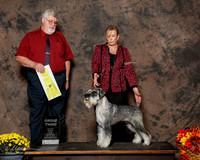 Standard Schauzer #5 Sun G3 De haas Gayle and pat koller Judge Steven Gladstone