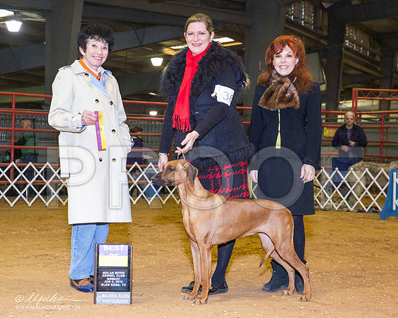 _RH_8888-GlenRoseJan2015-HR3