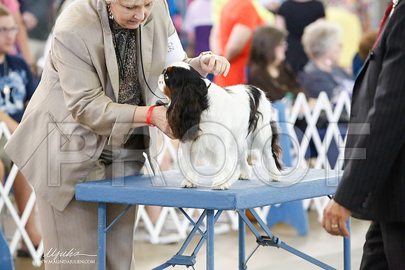 _CK_3337-DallasJul2014-HR3