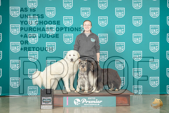 Great Pyrenees Std Sch Sheltie DASHMJP_4696_Premier2023_HR3